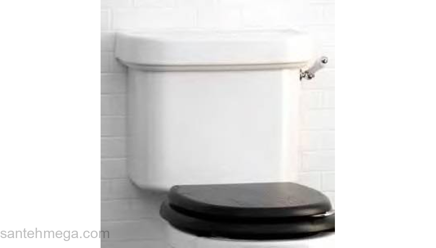 Бачок без механизма слива белый Devon&Devon Blues IBCMBLUES. Фото