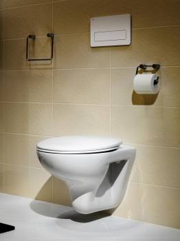 Сиденье Mateo Soft Close ZRU9302822 с микролифтом, петли хром ROCA. Фото