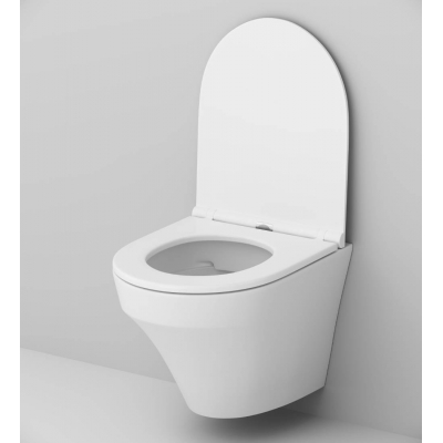 Унитаз подвесной безободковый FlashClean AM.PM Inspire C501700WH. Фото