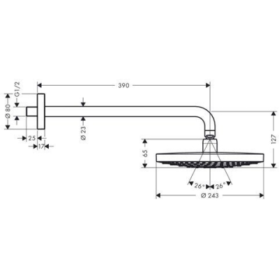 Верхний душ Hansgrohe Raindance Select 2jet белый/хром 26466400. Фото