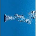 Аэромассаж ТРИТОН Лилия. Фото