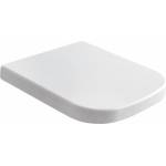 Сиденье для унитаза стандартное CERAMICA GLOBO Stone Vasi e Bidet SS023BI. Фото